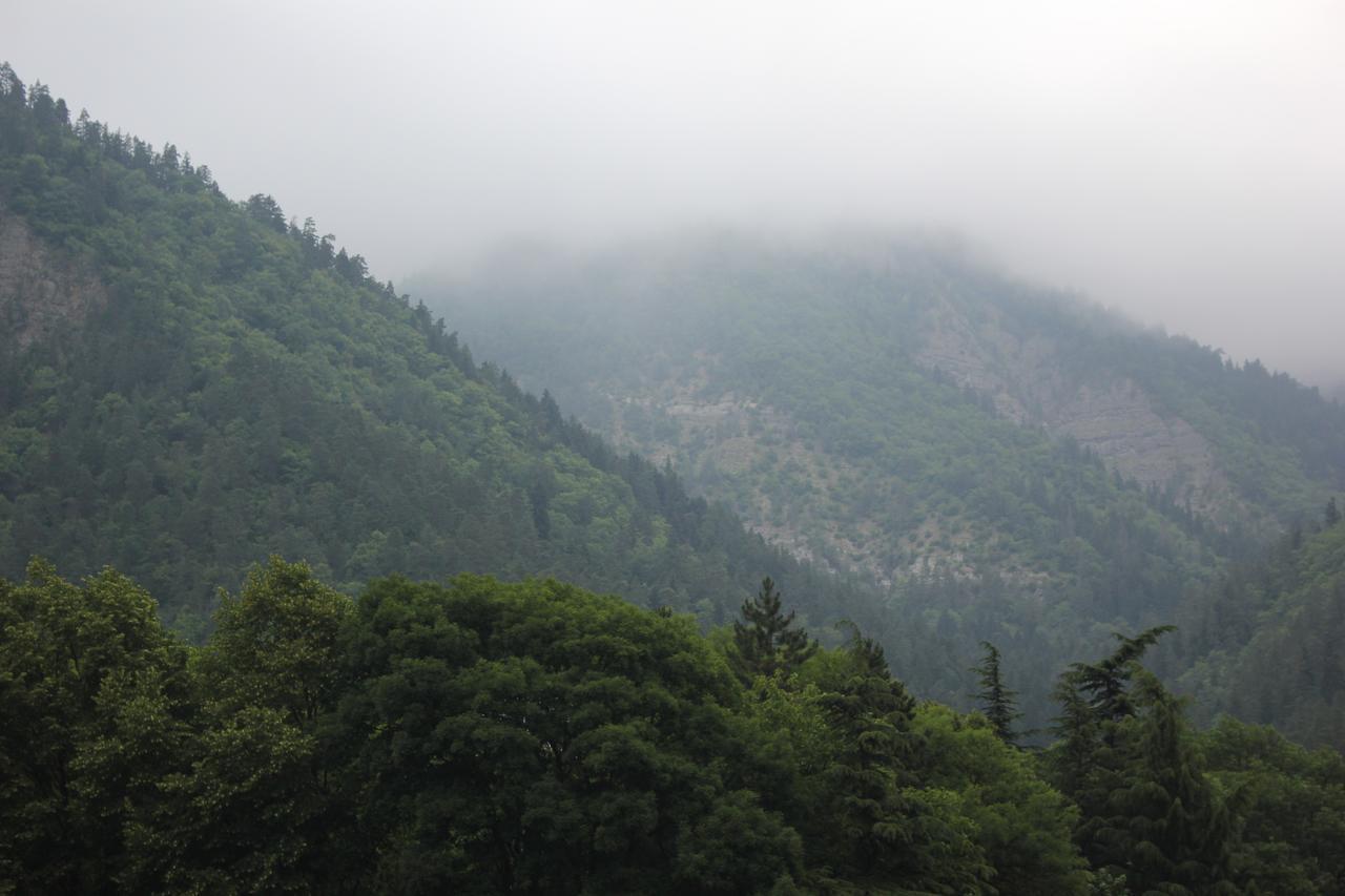 Firuza Hostel Borjomi Εξωτερικό φωτογραφία